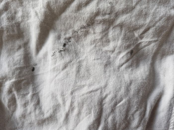 T-shirt classique impression sympa You - photo numéro 8