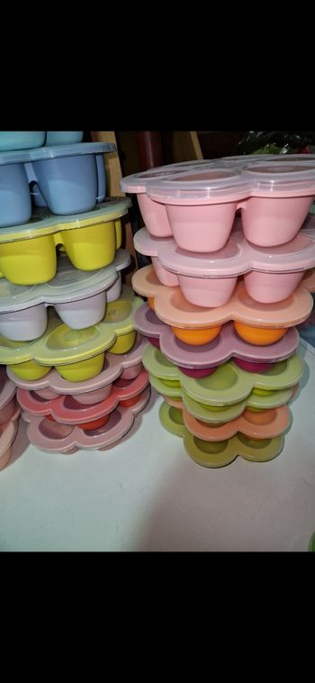 Fleur de congélation multiportions beaba à l'unité