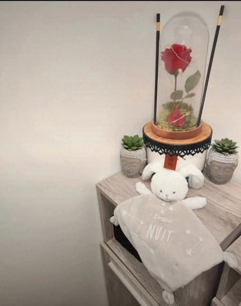 Doudou ours oreilles de lapin blanches douce nuit (jamais utilisé juste lavé et étiquette coupée)