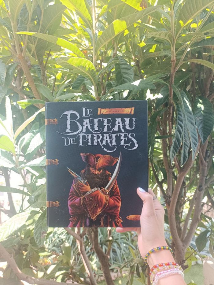 Livre le bateau de pirates Larousse.
