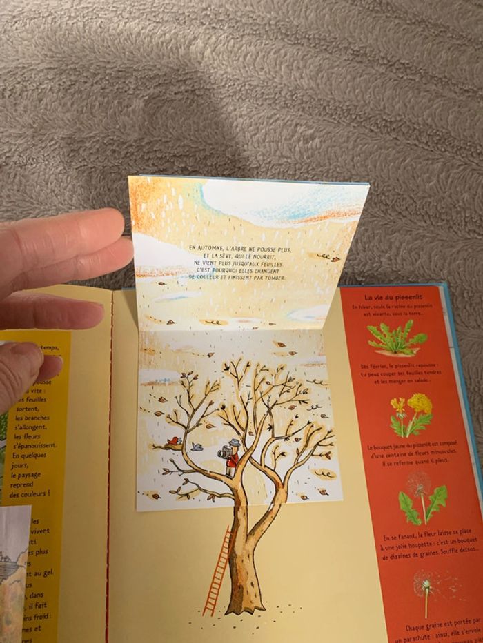 Livre Les 4 saisons, Kididoc, Nathan - photo numéro 6