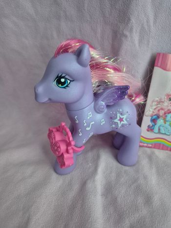 Petit poney