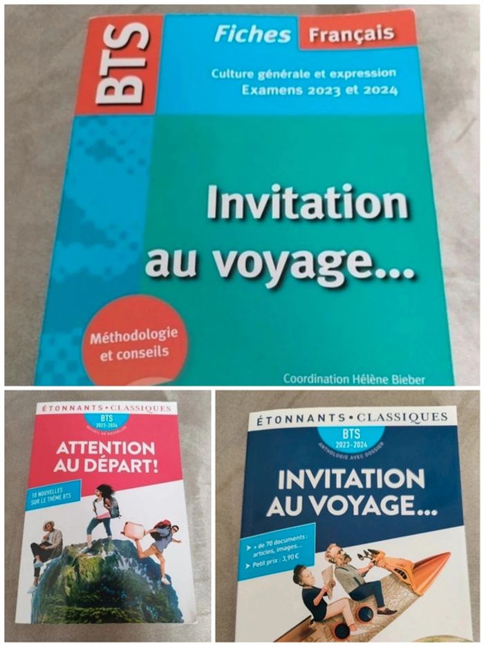 Lot de livre Initiation au voyage