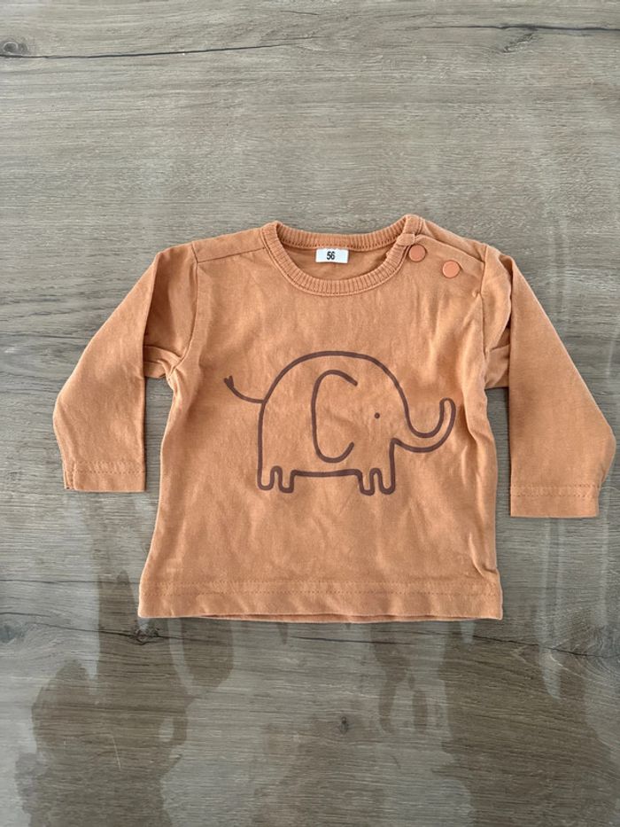 T shirt éléphant