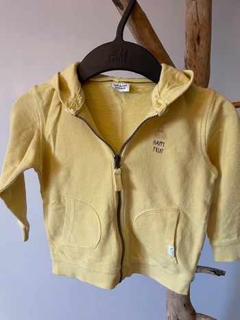 Sweat zippé capuche _ 2 ans_ TAO