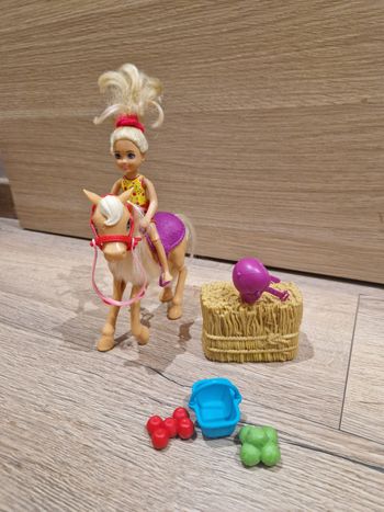 Chelsey et son Poney