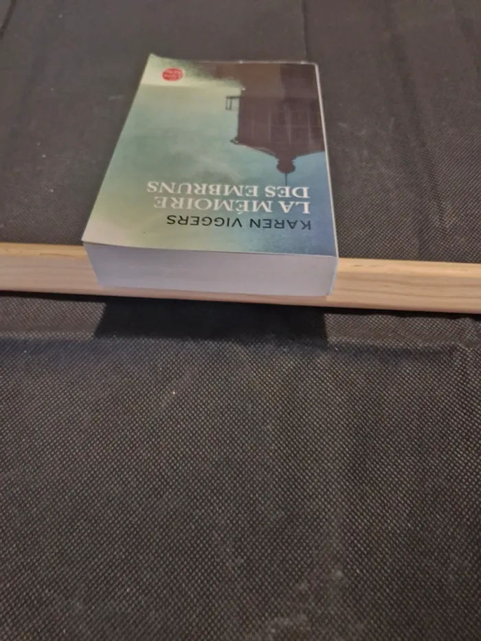 La Mémoire des embruns - Karen Viggers - photo numéro 4