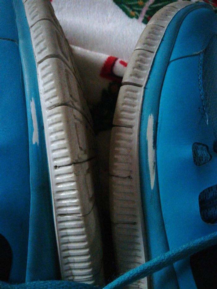 nike free 5.0 bleu upc 00884499539117 - photo numéro 3