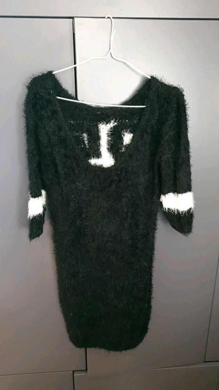 Robe hiver - photo numéro 2