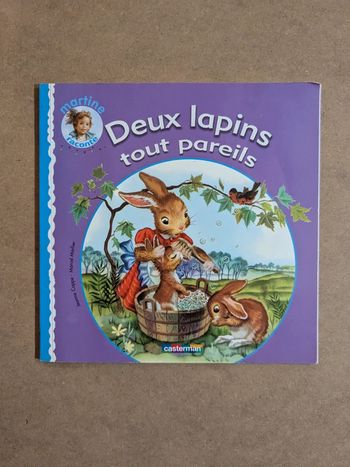 Livre enfant deux lapins tout pareil