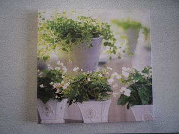 TOILE