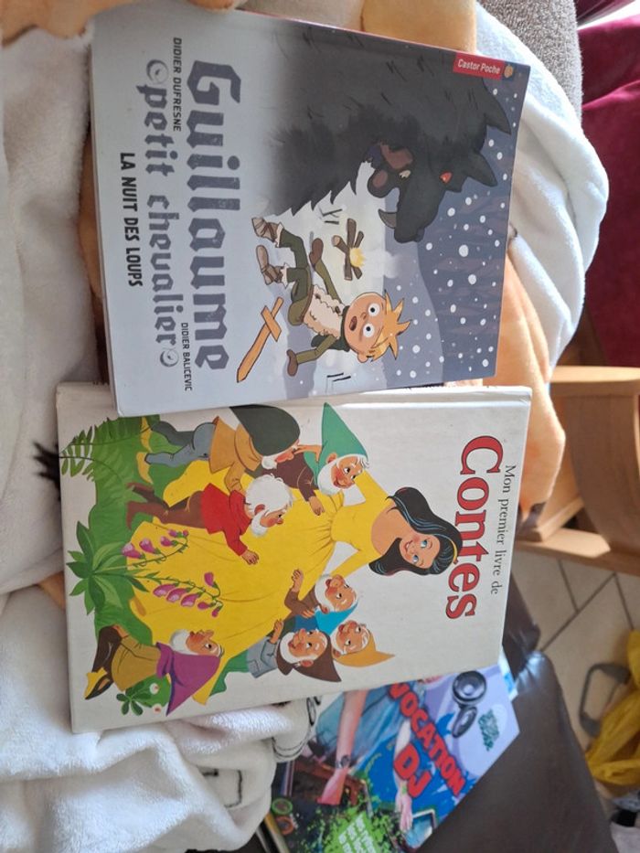 Lot 2 livre enfant