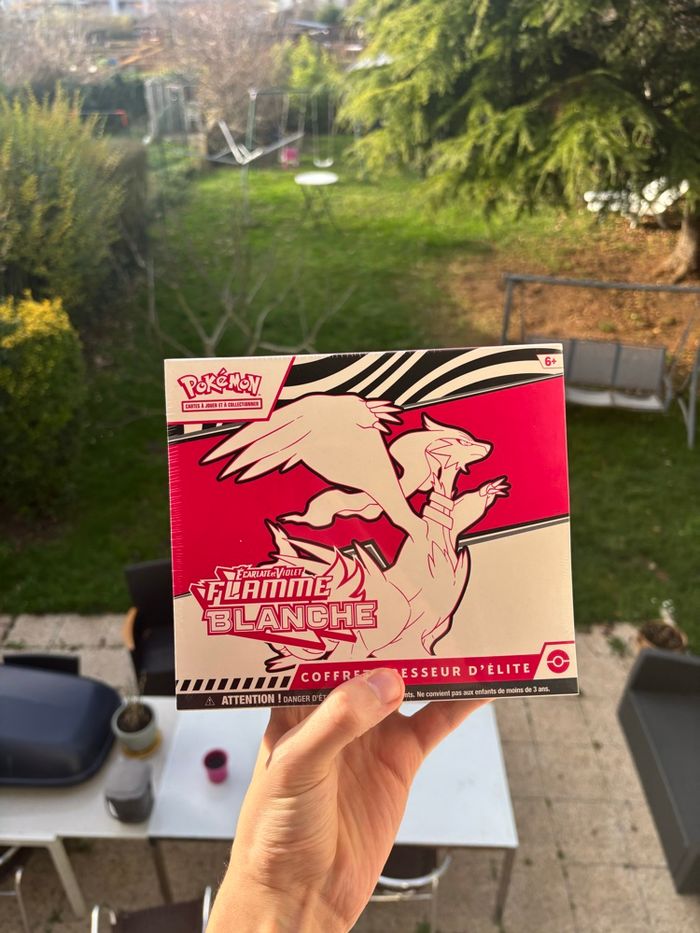 Duo ETB 10.5 Foudre Noire et Flamme Blanche