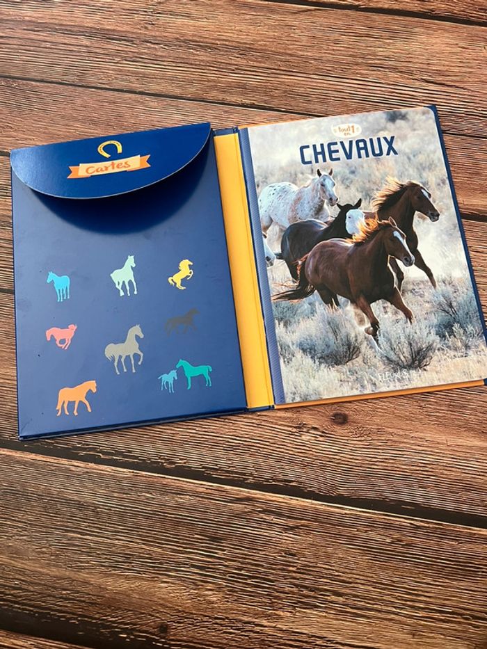 Chevaux fleurus - photo numéro 4