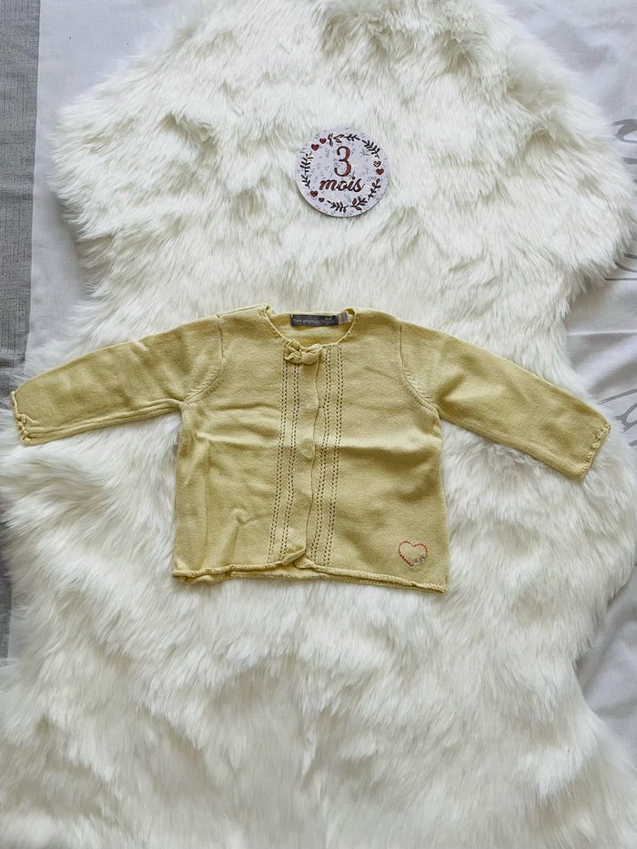 Gilet jaune