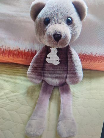 Doudou ours marron histoire d'ours 