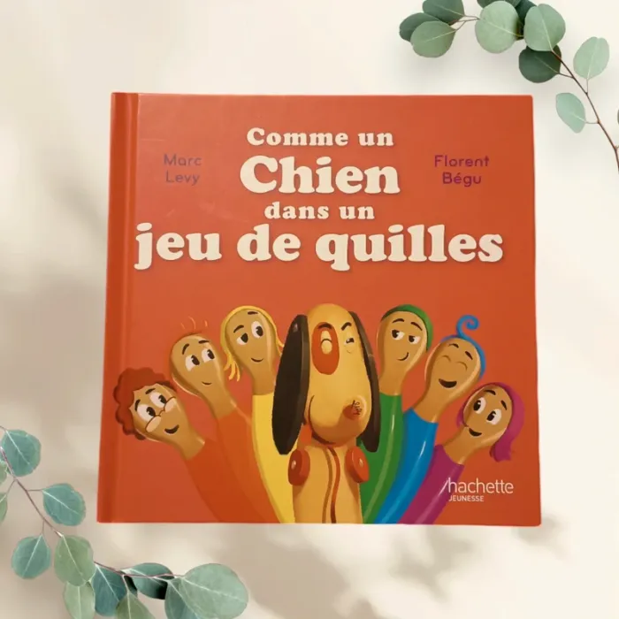 Livre Mac Do " C'est comme ça ! " Comme un chien dans un jeu de quilles.