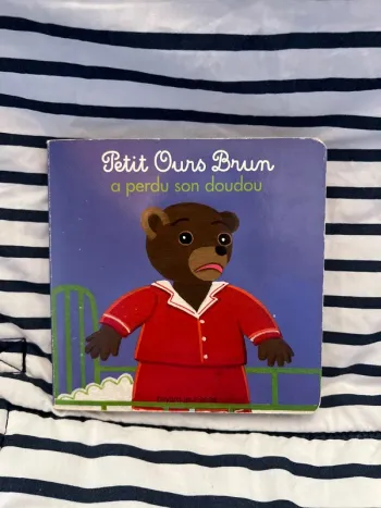 Petit Ours Brun a perdu son doudou