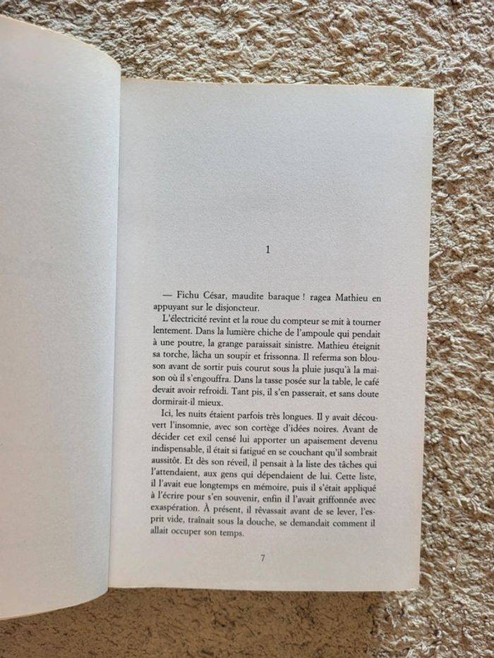 Livre Face à la mer de Françoise Bourdin - photo numéro 5