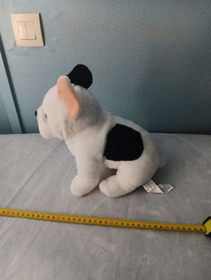 Chien - photo numéro 2