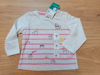 T-shirt manches longues chatons 6 mois