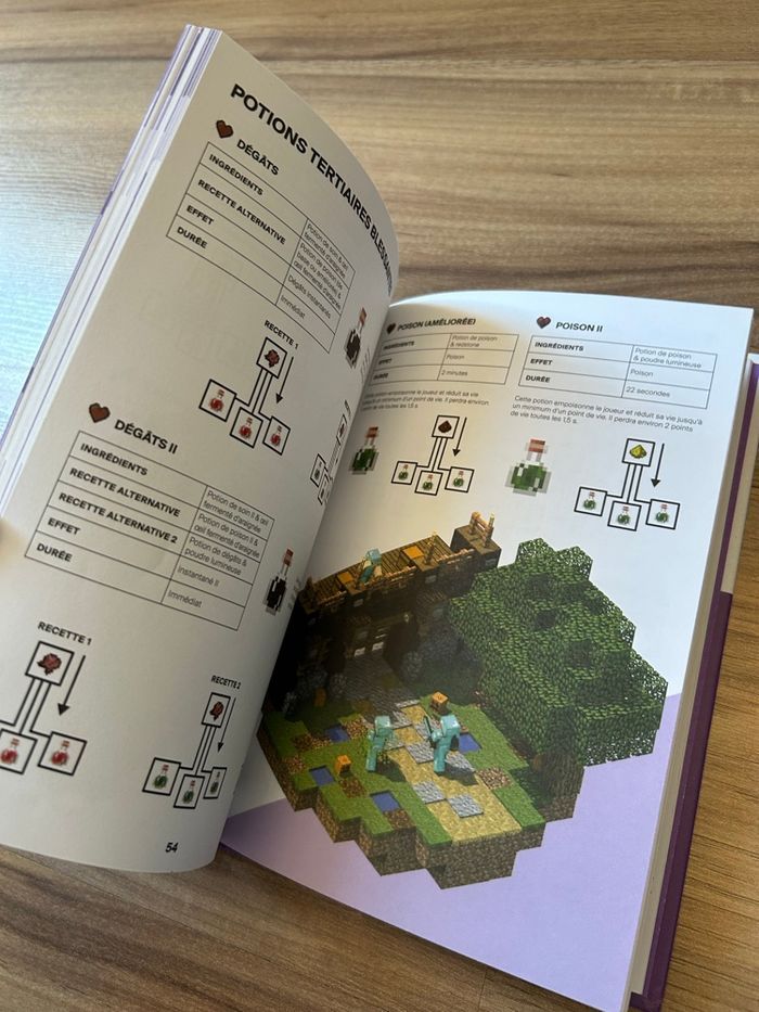 Guide Officiel Minecraft Enchantements & Potions Édition Mojang - photo numéro 10