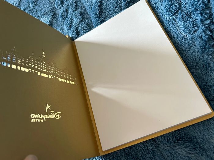Carnet Disneyland hôtel neuf avec jaquette - photo numéro 3