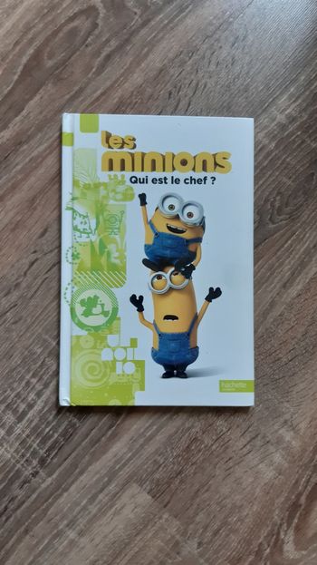 Livre Hachette Jeunesse Les Minions