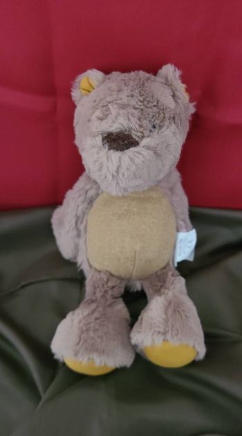 OURSON BRUN CHANTERELLE RENDEZ-VOUS CHEMIN DU LOUP