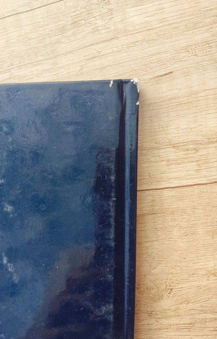 Lot Livre La Cuisine des Gourmands - photo numéro 14