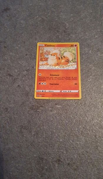 Carte Pokemon Caninos