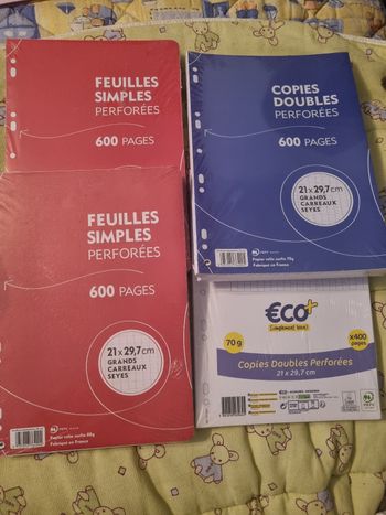 Lot de feuilles simples et copies doubles