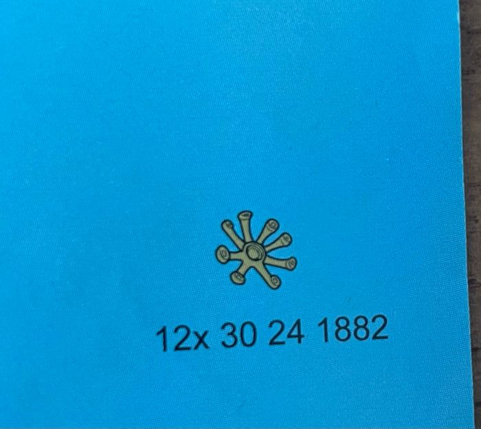 Playmobil 5230 (Tyrannosaure et Saichania) - photo numéro 4