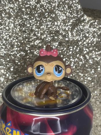 Littlest pet shop #501 singe