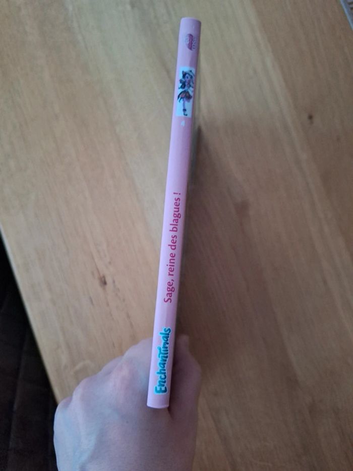 Livre rose enchantimals - photo numéro 2