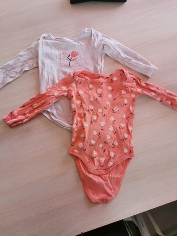 Lot 2 bodies 24 mois