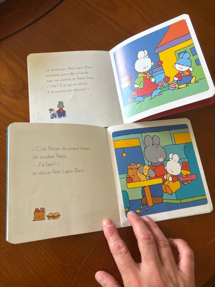 Livres petit lapin blanc - photo numéro 2
