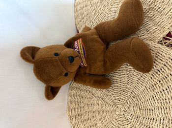 Doudou peluche micro ondable ours marron Beddy Bear
