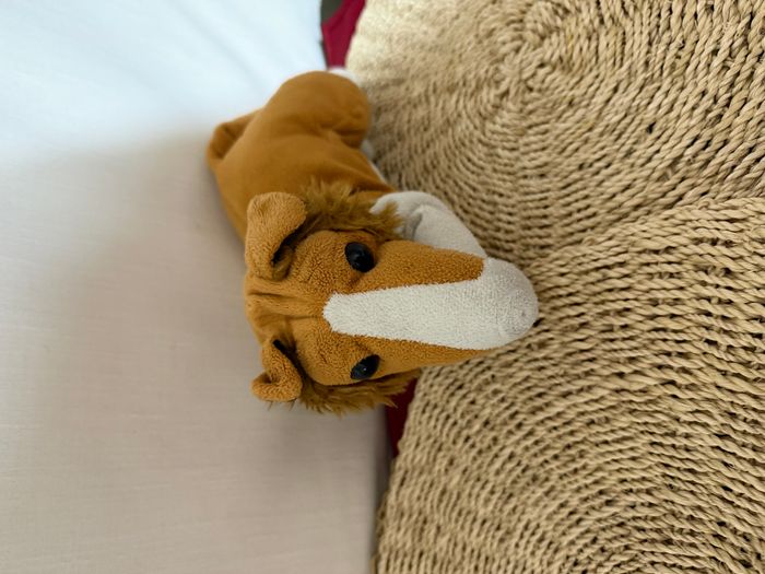 Peluche chien Colley - photo numéro 2
