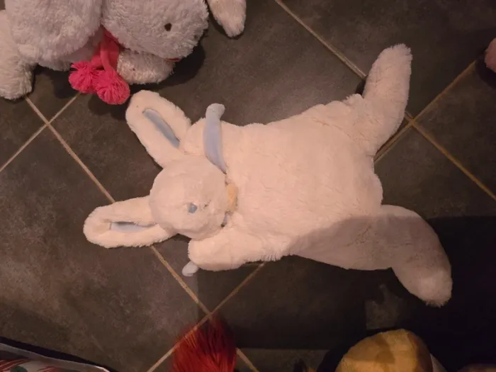 Doudou - photo numéro 2