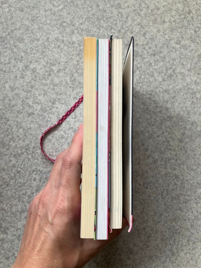 Lot de 3 livres jeunesse de 8 à 10 ans (2€80) - photo numéro 5