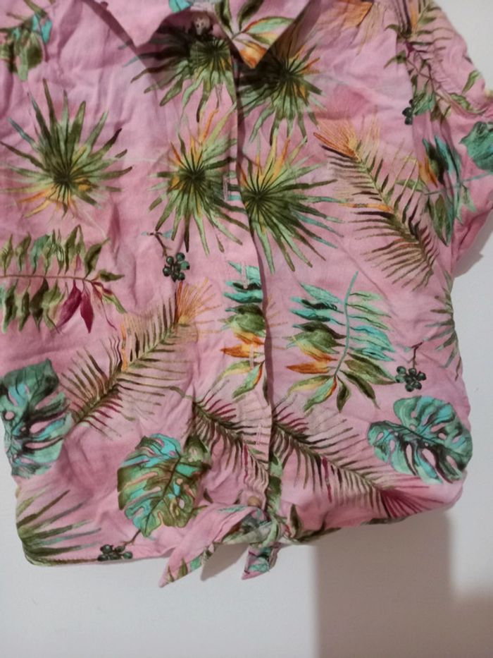 Chemis tropic - photo numéro 3