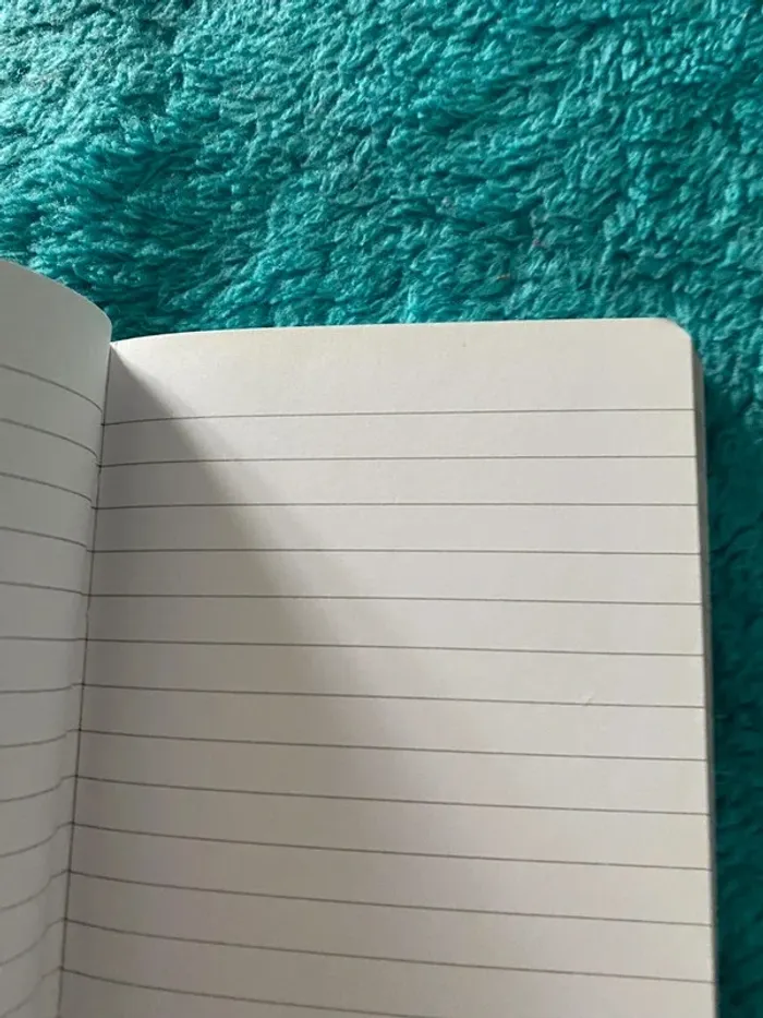 Carnet  miroir - photo numéro 2
