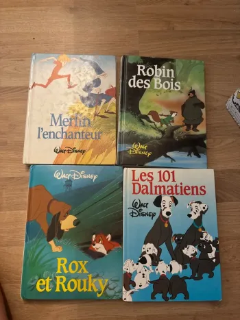 Lot livre Disney