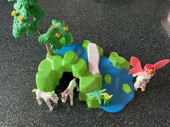 Jardin enchanté playmobil