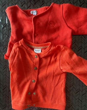 Lot vestes bébé fille 12 mois