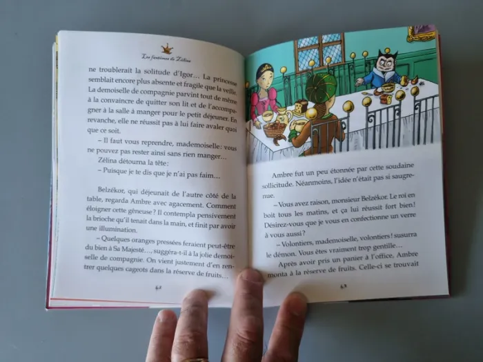 Livre princesse Zélina - photo numéro 3