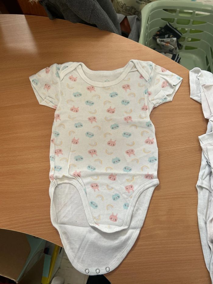 Lot 7 body manche courtes