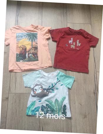 Lot 3 tee-shirts manches courtes 12 mois