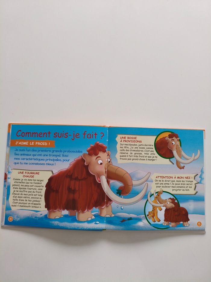 Le mammouth - photo numéro 3